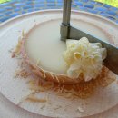 하루치즈 이미지