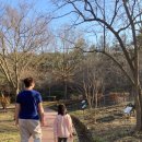 함평태권도장 이미지