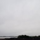 제주8월14일