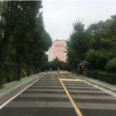 녹사평대로(서측) 이미지