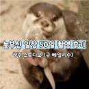 청주 눈부신 일상 스튜디오 50일 촬영 리얼 솔직 후기, 원본 구매(다나 조리원 연계)