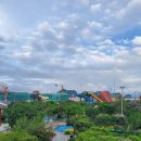 Dragon Park 이미지