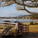 배알도수변공원 이미지