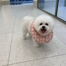 동물에 반하다 동물병원 이미지