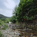 가평 계곡 캠핑장 : 개울가 오토캠핑 사이트 추천, 채송화 객실 후기
