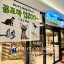 라라브레드 감일아클라우드점 | 아이랑 하남 실내동물원 애니멀 키즈파크 곰꼬마 오픈 예정