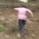 양지1길 이미지