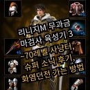 정무네슈퍼 | 리니지M 무과금 마검사 육성기 3 - ~70레벨 사냥터, 슈퍼 소닉 후기, 화염던전 가는 방법