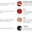 주식회사 제이비케이랩 네이버블로그