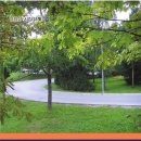 그리심문고 이미지