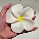 꽃잎어린이집 | 수제비누 추천 돌잔치 결혼 어린이집 답례품 전문 천연비누 온비다