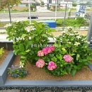 예일부동산중개사무소 이미지