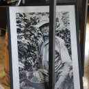 카페리즈 이미지