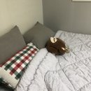 풍기빨래방 이미지