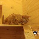 별이와콩이 이미지