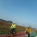 영천댐 자전거도로 영천시민신문사