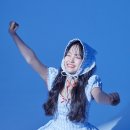 K-타이거즈 뉴스엔