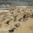 경북광고기획 이미지