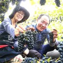 박종진 농장 이미지