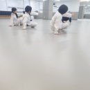 칼슨그레이시세종주짓수본관
