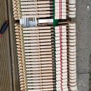 일동상회 이미지