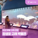 주식회사태평양해양산업 | [블로그 기자] 국내 유일 고래 전문 '장생포 고래 박물관' 입장료, 주차 등 관람 정보