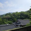 산길별채 이미지