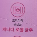 ✅ 키즈유산균 고를 때 이것만 봐요! 브레인올로지 면역 톡톡 100억 유산균 솔직 후기
