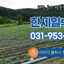 한세일공인중개사사무소 이미지