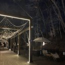 [용인 기흥 캠핑장] 테일즈파크 캠프 - 댕댕이와 함께하는 서울 근교 글램핑 대만족 후기