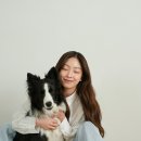 버틀랩 이미지