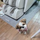 소리야네집 이미지