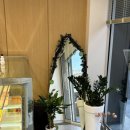 탕후루랩(TANGHURU LAB) 이미지