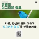 일상의 쉼표 힐링명상 이미지