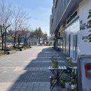 으뜸50안경 문정역점 이미지