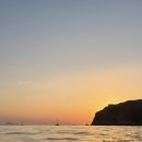 고양이천국 이미지