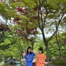 코너라운드맨션 이미지