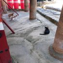 창원향교 대성전 | 창원문화재]창원향교_행복의창산책로