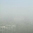 동북약국 이미지