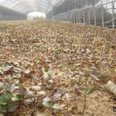 남산농원 이미지