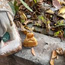 윤지농장 | [2026 1월] 치앙마이 1편의 2편 | 치앙마이 야간사원투어 왓우몽, 도이수텝, 창푸악야시장 방문기, 호텔...