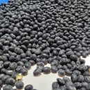 송암농장(2) 이미지