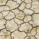 부모사랑요양병원 이미지