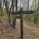 초록산 산림욕장 2 이미지