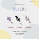 레이미데이 고양이 강아지 여름 하네스 매쉬 경량 조끼 리드줄 원터치 세트