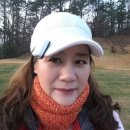 아이엠캐디