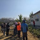 승안동마을 이미지