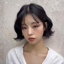 샵오오티디 이미지
