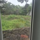 쉼127키즈가족협재점