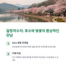 달창저수지 이미지
